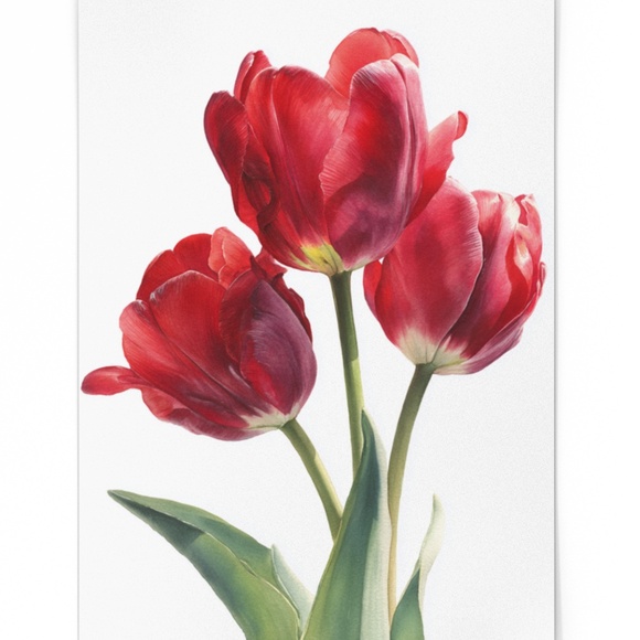 Watercolor Red Tulips Wall Art Illustration Print Poster Unframed - Picture 6 of 6